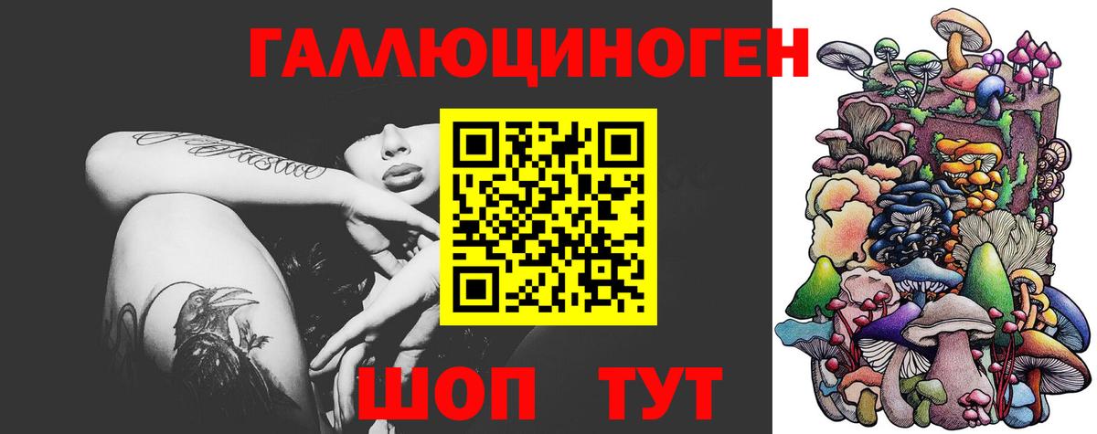 Галлюциногенные грибы GOLDEN TEACHER  где найти наркотики  Ефремов  Вход с VPN 