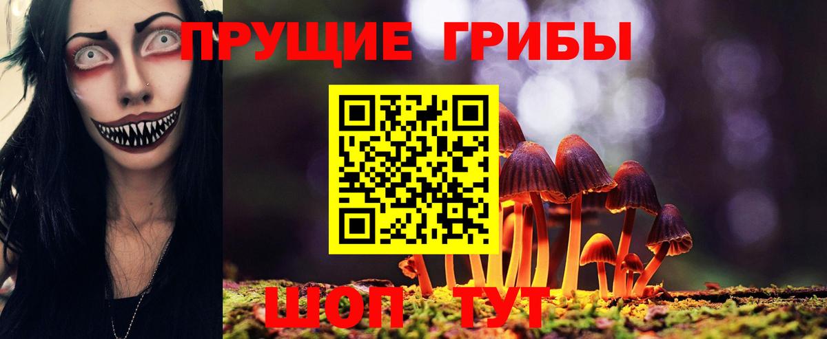 Галлюциногенные грибы GOLDEN TEACHER Ефремов